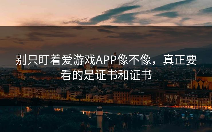 别只盯着爱游戏APP像不像，真正要看的是证书和证书