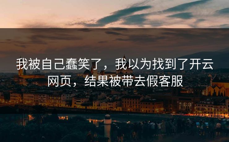 我被自己蠢笑了，我以为找到了开云网页，结果被带去假客服