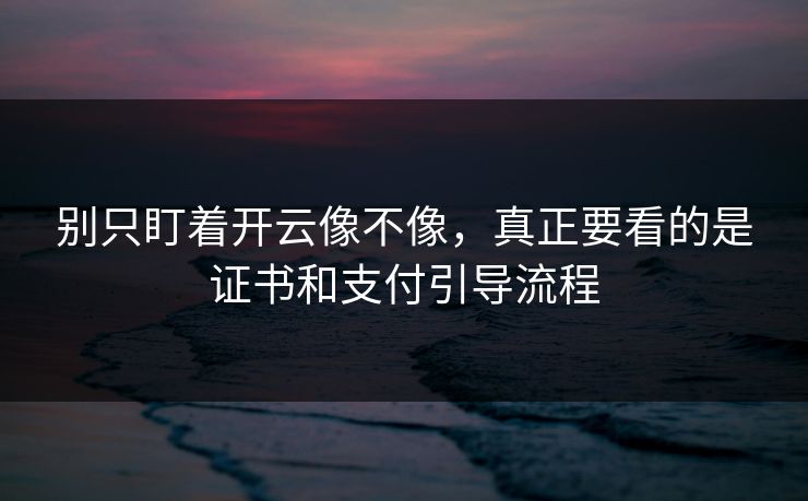 别只盯着开云像不像，真正要看的是证书和支付引导流程