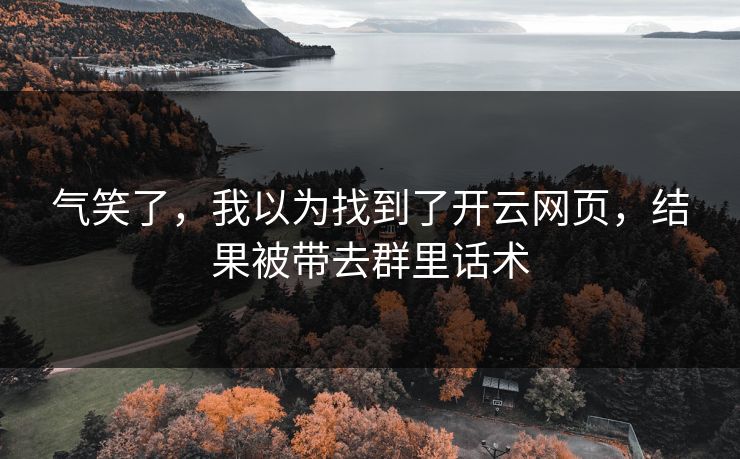 气笑了，我以为找到了开云网页，结果被带去群里话术