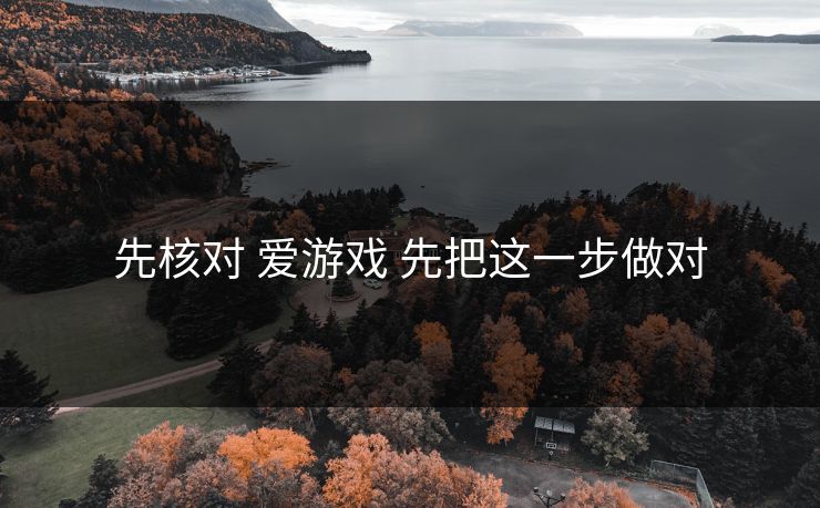 先核对 爱游戏 先把这一步做对